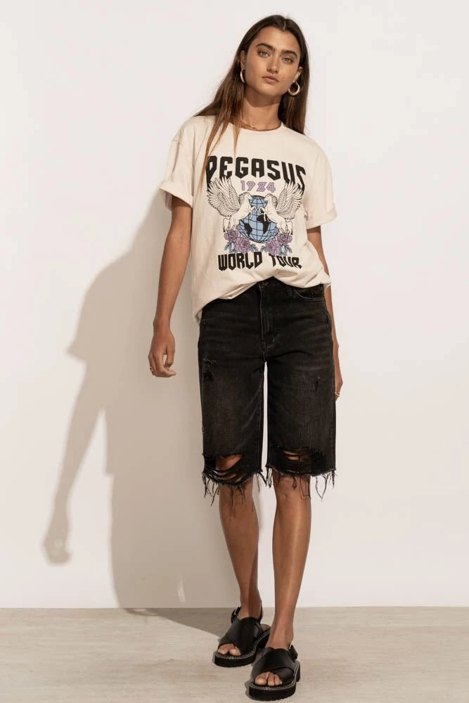 WORUI Pegasus Graphic Tee Tops 5 WORUI Pegasus Graphic Tee Tops